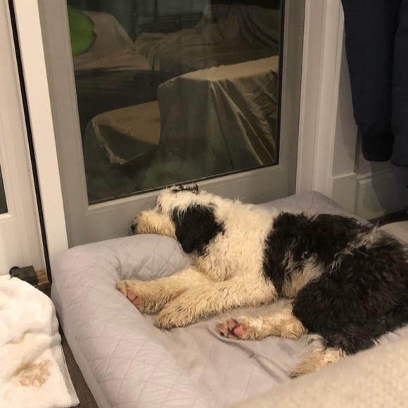 Meet your Posher, Jon - Picture 1 of 1